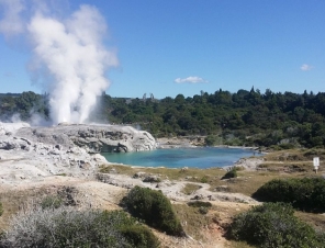 View of Pohutu Geyser at Whakarewarewa Village Rotorua